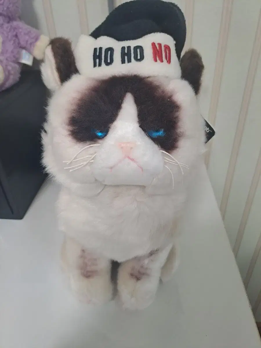 grumpy cat 고양이 인형 gund 인형